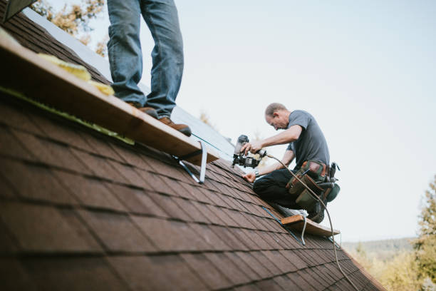Best Roof Gutter Cleaning  in Great Bend, KS